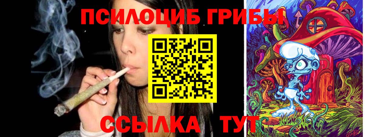 Псилоцибиновые грибы прущие грибы Крымск