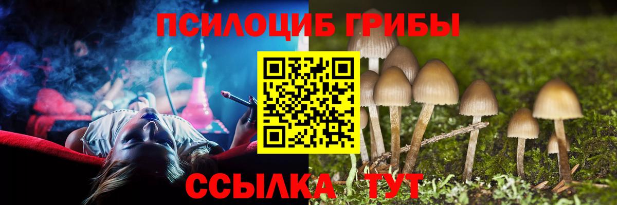 Псилоцибиновые грибы мицелий  Галлюциногенные грибы GOLDEN TEACHER  Вход с VPN  Крымск 